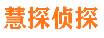 岭东侦探调查公司